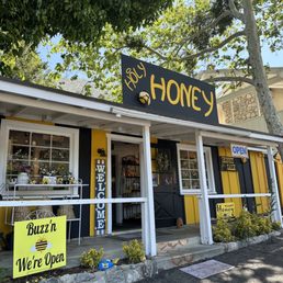 🐝 Holy Honey at Queen Bee Limited: Local Raw Honey & Creamy Honey Explained